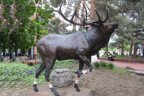 Garden decorative animal sculpture antique bronze elk statue for sale
