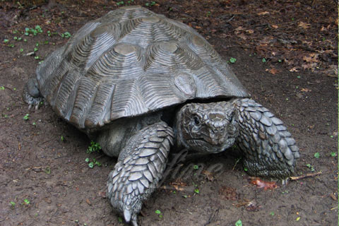 Antique bronze animal sculpture outdoor turtle statue for garden decor