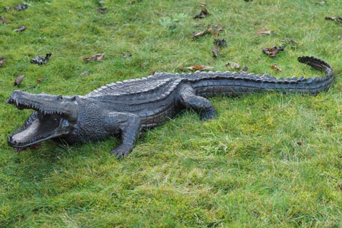 Cast Animal Bronze Animal Sculptures Crocodile for Sale