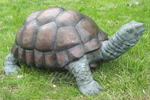 Full size yard art brass tortoise statue for sale