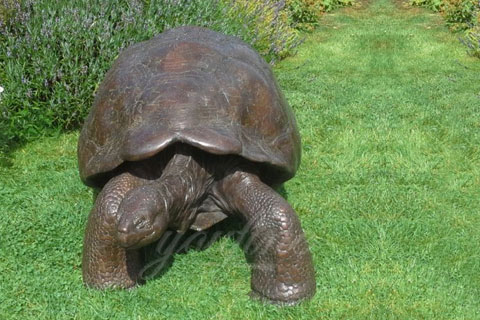 Casting bronze animal sculpture outdoor turtle statue on lawn