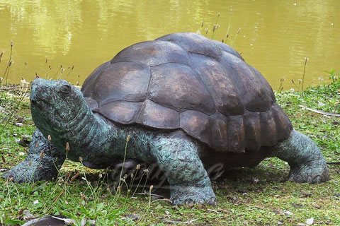 Life size outdoor turtle statue for garden on sale