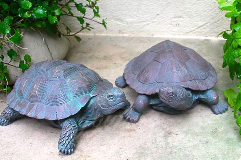 Full size Turtle Bronze Animal Statue for Yard Decoration