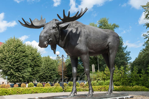 Wholesales Life size metal bronze animal moose elk deer statue for sale