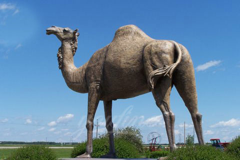 Full Size Garden Cast Camel Bronze Animal Sculpture for sale