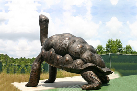 Huge Bronze Tortoise Statue Zoo Ornament for Sale BOKK-387