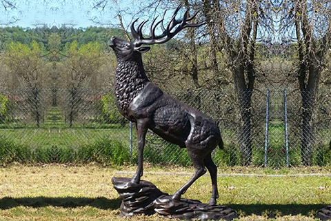 Life Size Bronze Stag Garden Statue Outdoor Animal Decor Factory Supplier BOKK-269