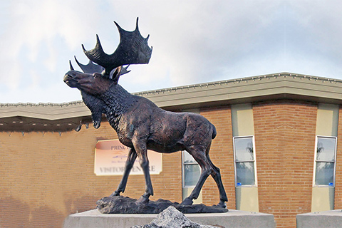 Large Wild Bronze Moose Sculpture Outdoor Forest Decor Factory Supplier BOK1-161