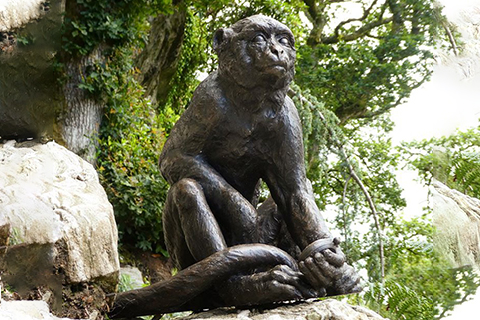 Handmade Bronze Outdoor Monkey Statues for Sale