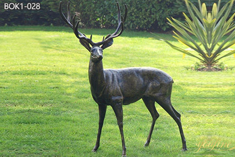 Outdoor Lifelike Bronze Deer Sculpture for Garden Decor BOK1-028