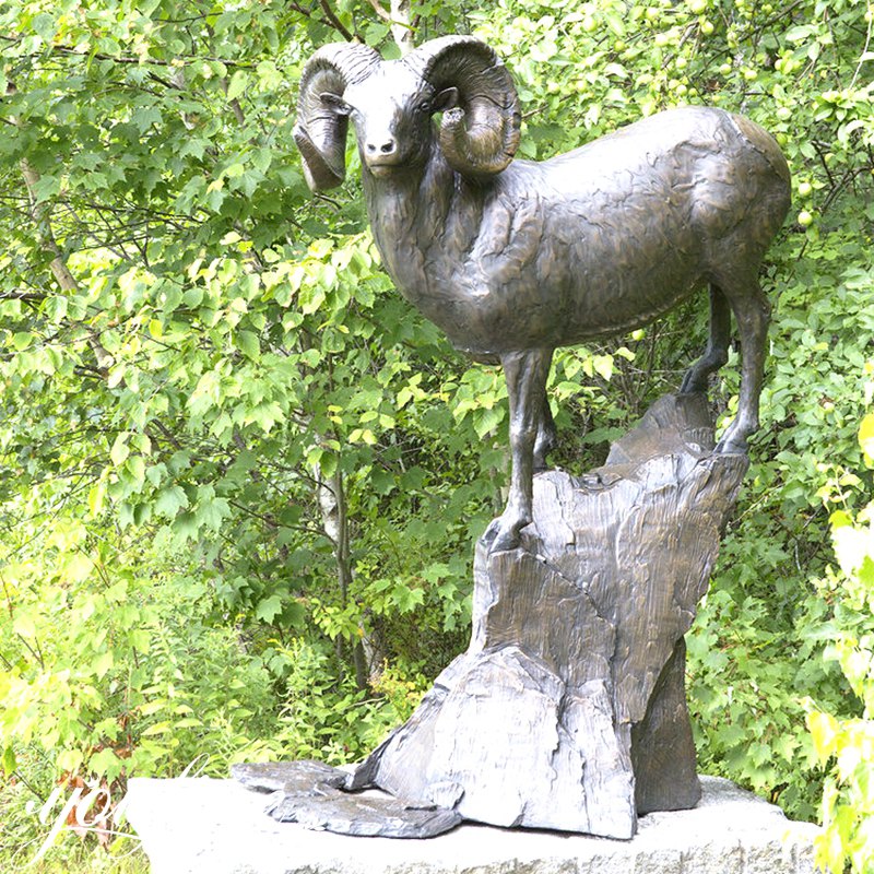 What Is the Meaning of Big-Horned Sheep?