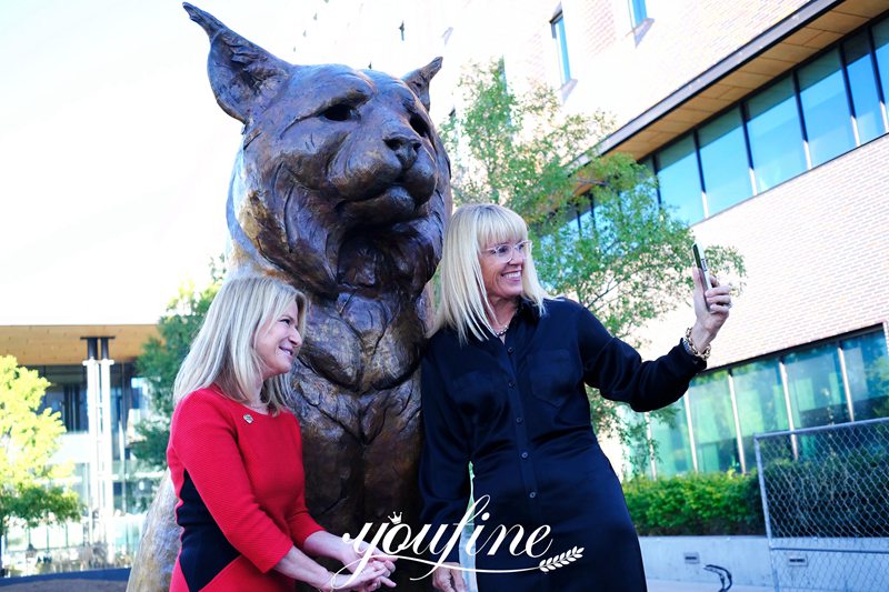 Bronze Lynx Statue Shows