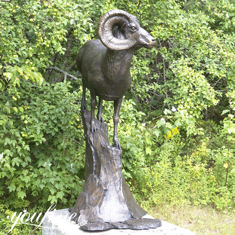 Bronze Bighorn Sheep Statue Details