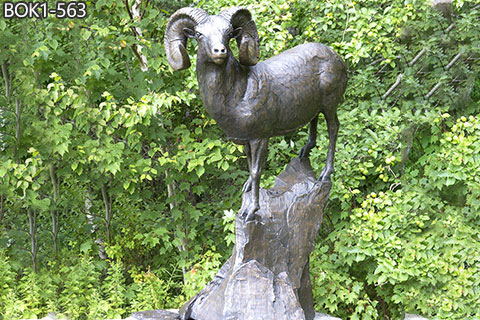 Life-Size Bighorn Sheep Statue Outdoor Garden Decor for Sale BOK1-563